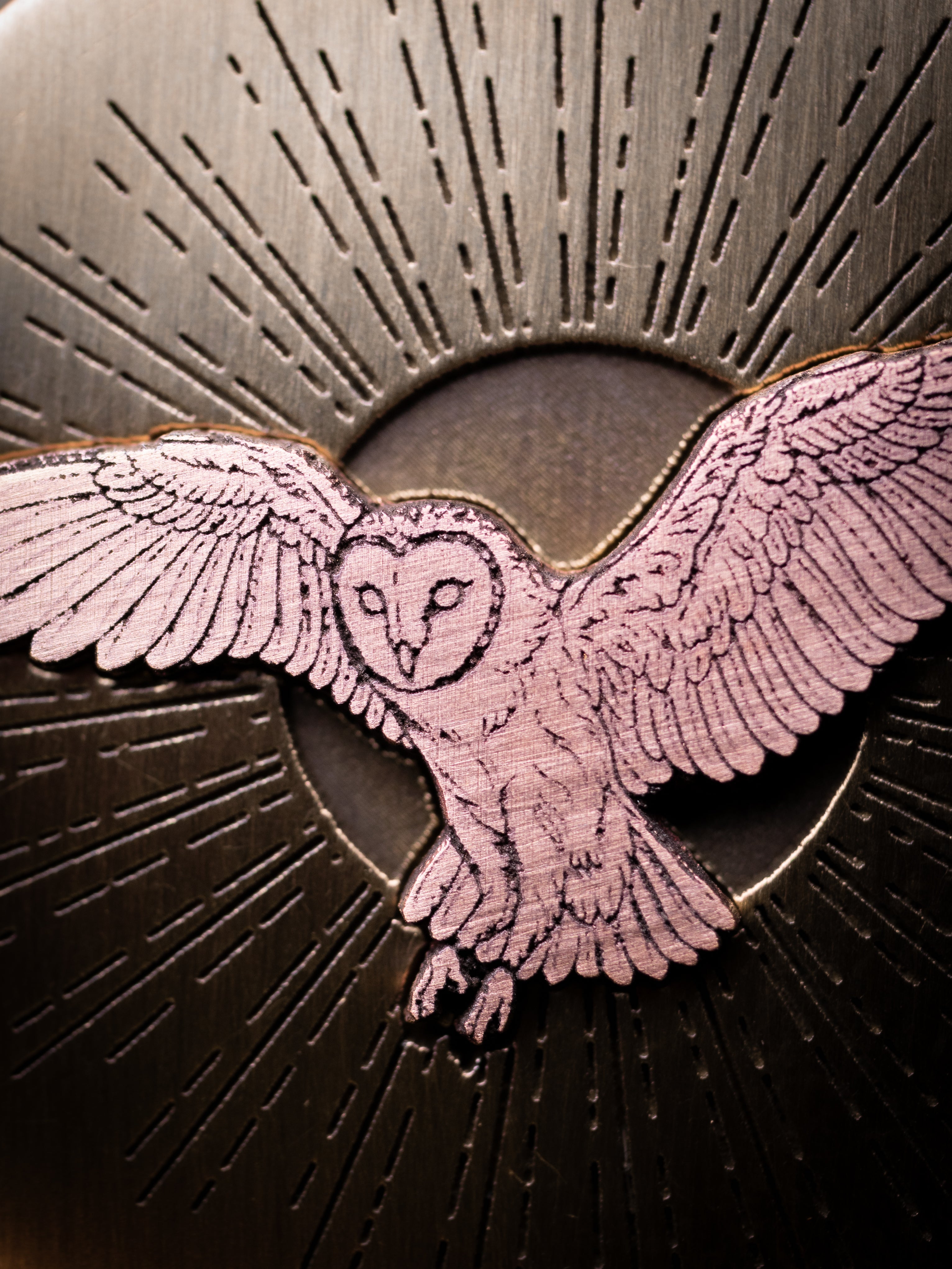 Barn Owl