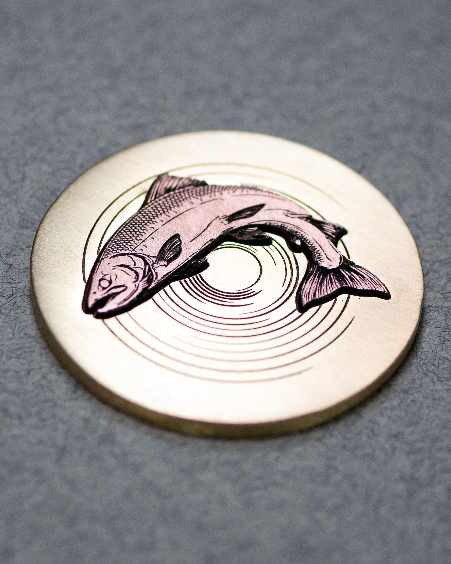 Salmon