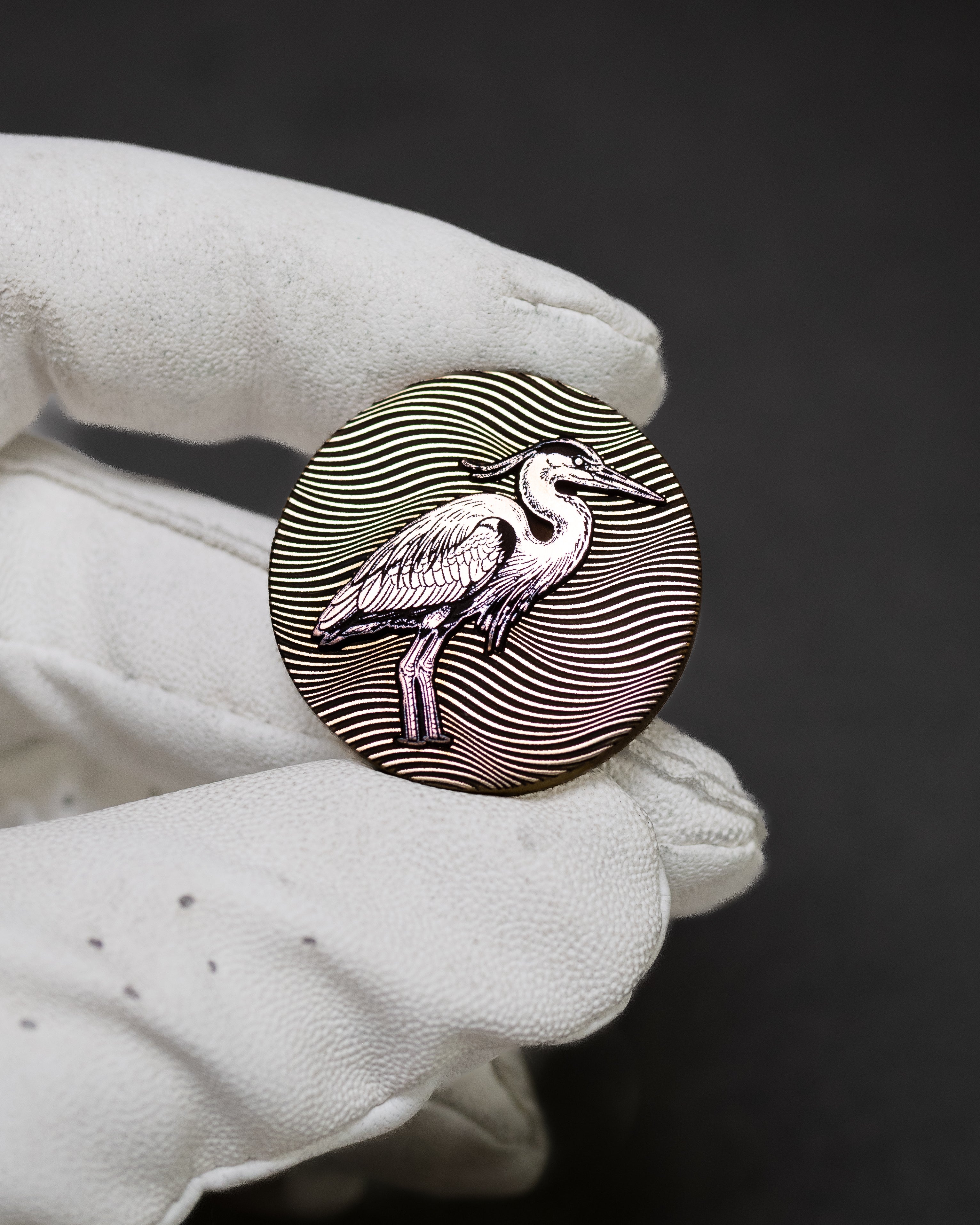 Heron